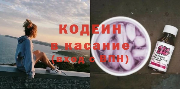 молекула духа Бронницы