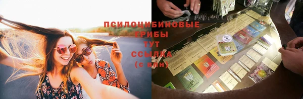 герыч Бородино