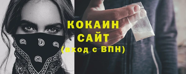 молекула духа Бронницы