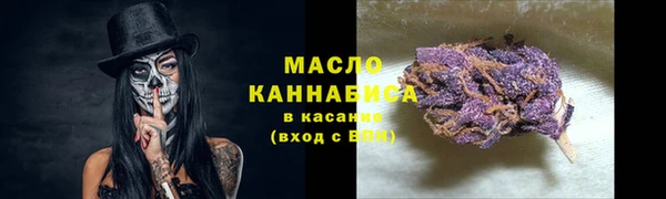 молекула духа Бронницы