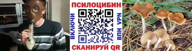 Купить  Кадников  Галлюциногенные грибы мухоморы 